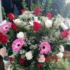 Flowers GM
