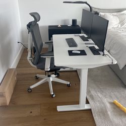 Standing Desk, Ergonomic Chair, And Filing Cabinet 