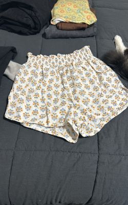 Small Summer Shorts
