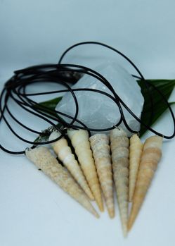 Hawaii Shell Earthy Necklace