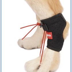 2-Dog Knuckling Rear Leg Brace