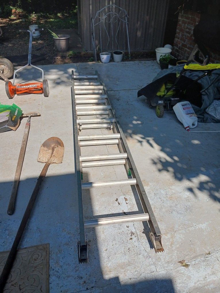 Tall Ladder