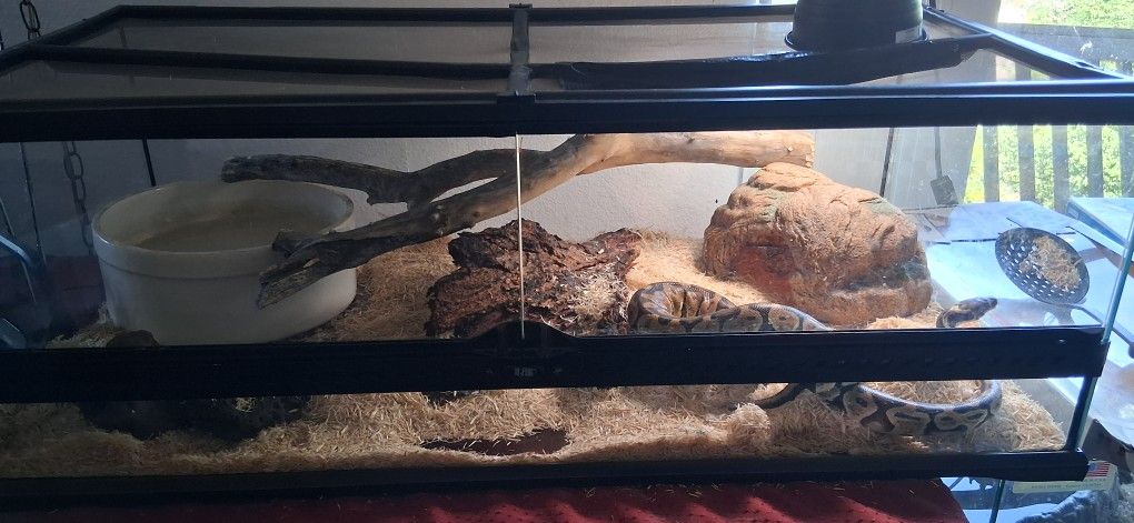 Reptile Tank And Accessories Every Thing Included