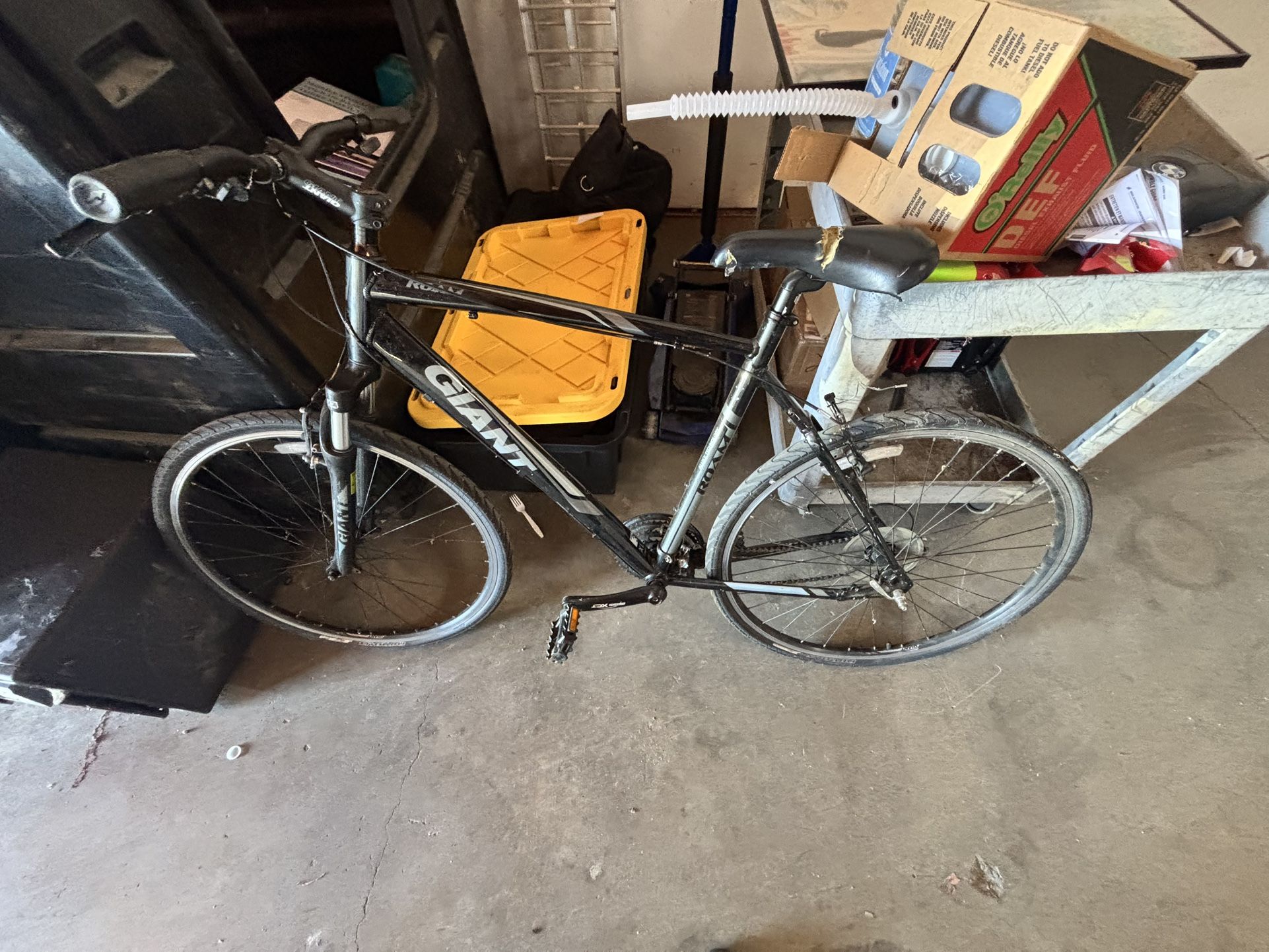 Giant Roam Bike