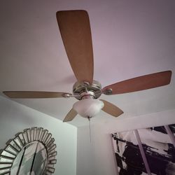 2 Ceiling Fans