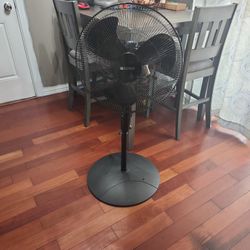 Fan -black