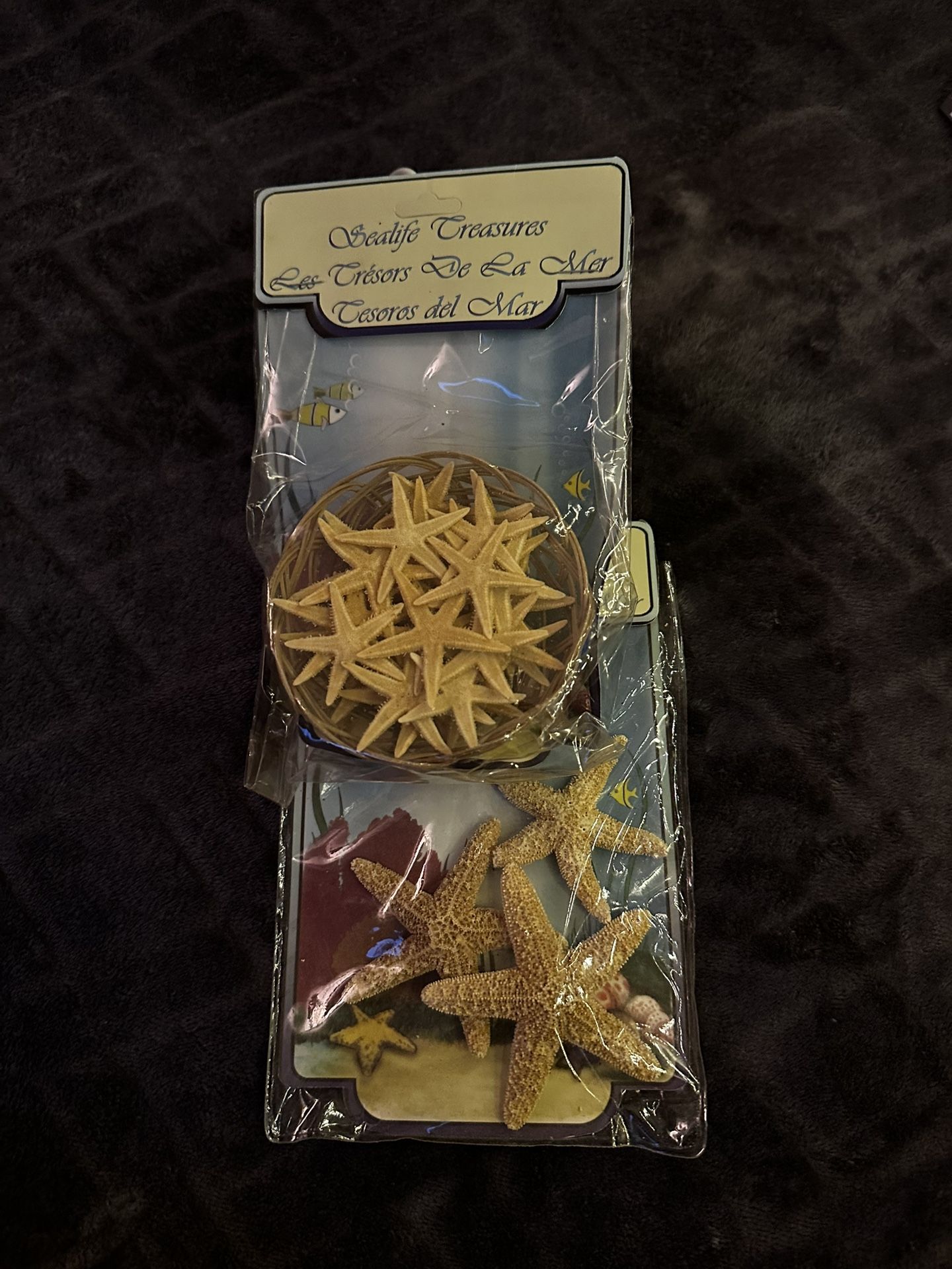 Free/ Starfish 