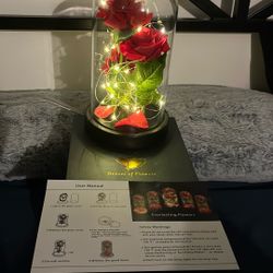 Light Up Flower Display