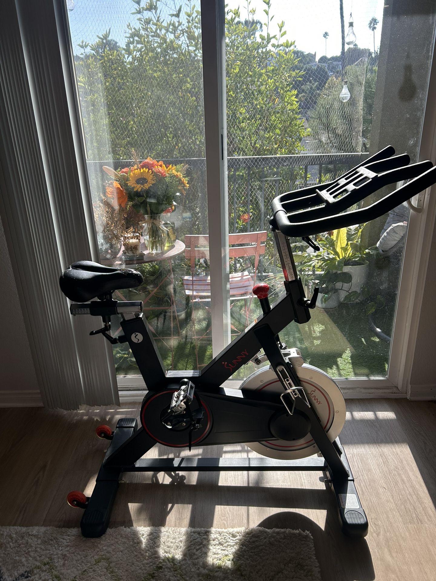 Sunny Health & Fitness Magnetic Exercise Bike