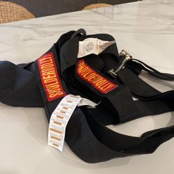 Moving Straps/ Lifting Straps