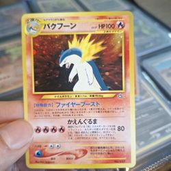 Neo Jpn Typhlosion & Cyndaquil