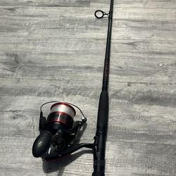 Penn Fierce 8000 Combo