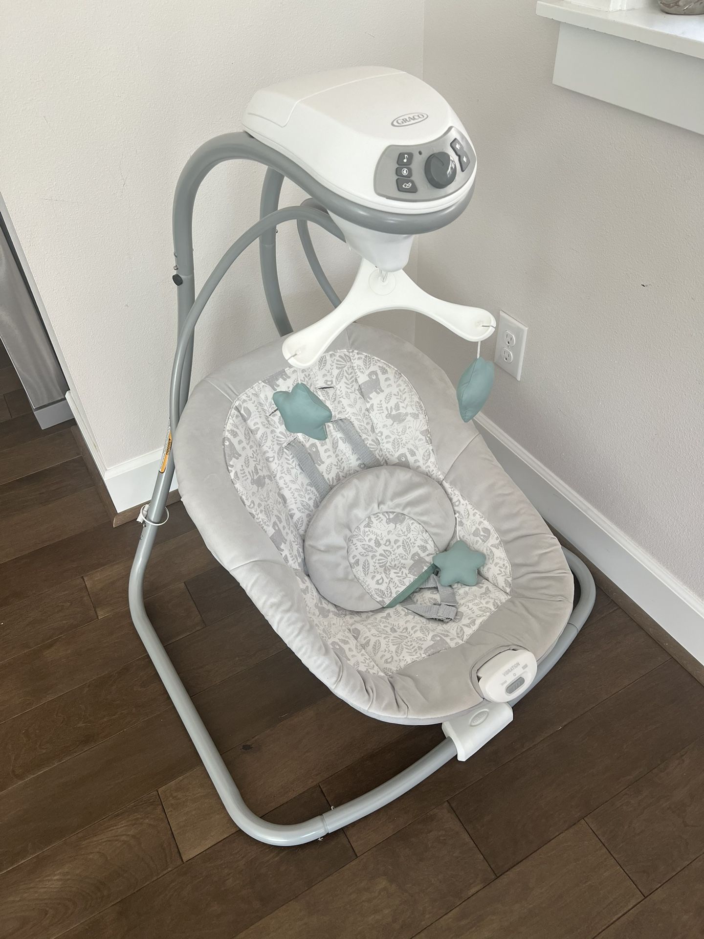 Graco Swing