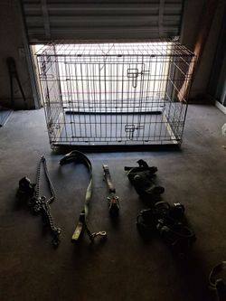 Dog Crate with Leashes and Harnesses