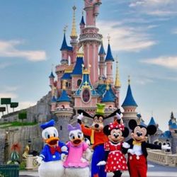 DISNEYLAND 🎢🎡🍿🥤🥨🍦 ONE ☝️ PARK (4) TICKETS 🎟️ 🎟️🎟️🎟️ $600 PRICE FIRM