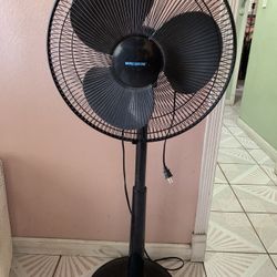 Pedestal Fan 30$