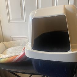 Cat Litter And Cat Bed