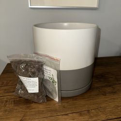 Ceramic Planter Pot w/ Drainage 