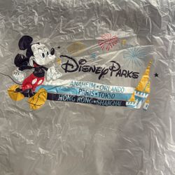 FREE - Disneyland Poncho 