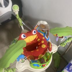 Free Baby Einstein Jumper