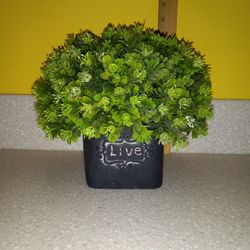 8.5" Faux Boxwood Topiary In Ceramic Pot "Live"
