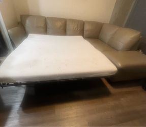Sectional Sleeper sofa