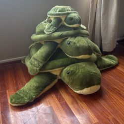 Turtle Plushy Bundle