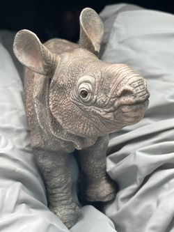 1992 Lennox greater Asian rhino