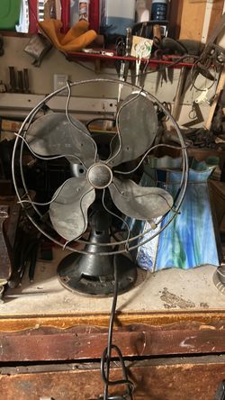 Fan