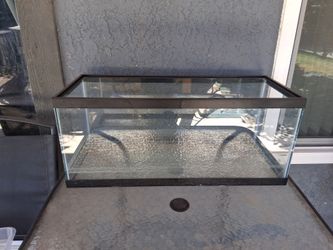 25 gallon tank