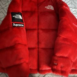 supreme X  northface jacket 