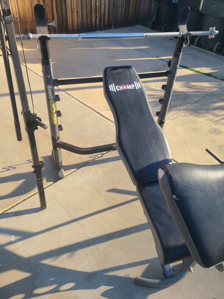 Weight Bench