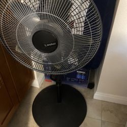 Fan