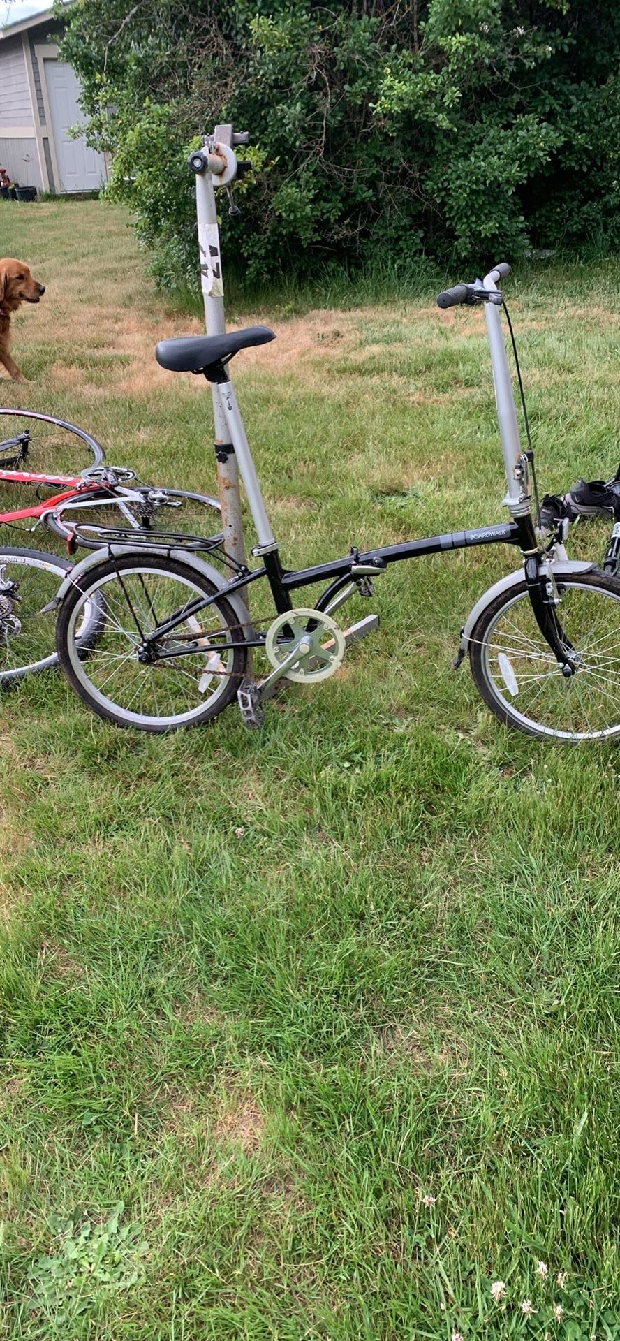 Folding Bike