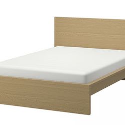 Malm Bed Frame Queen (IKEA)