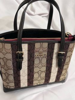 COACH Mollie Tote