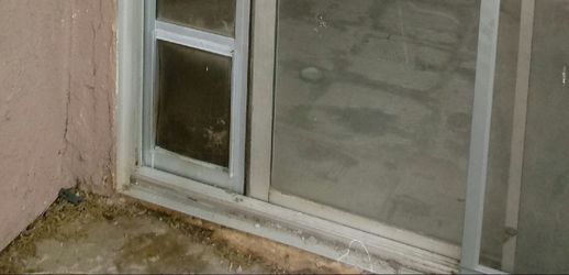 Doggie door