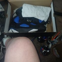 Brand New Air Jordan 'S 12