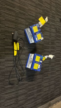 Action Wheels 12v Battery