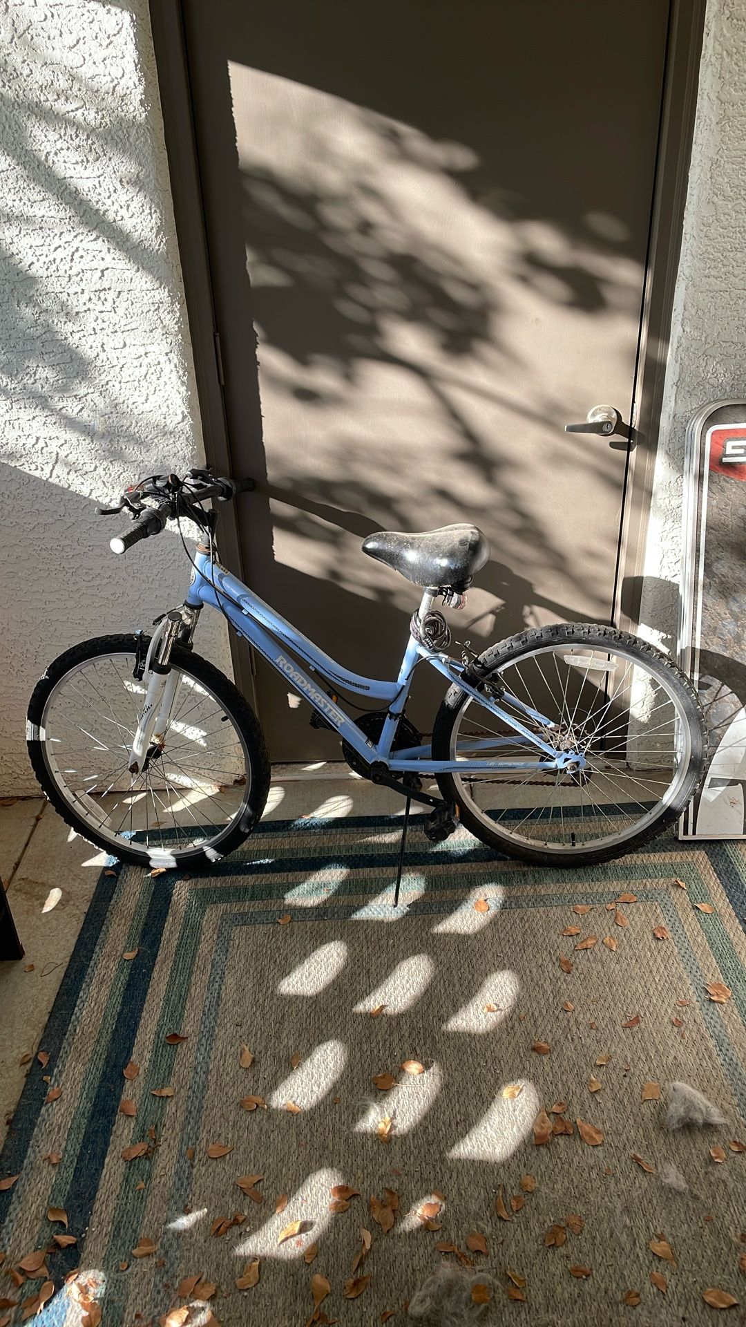 Roadmaster 18 speed Bike