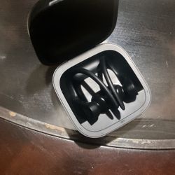 Earphones 