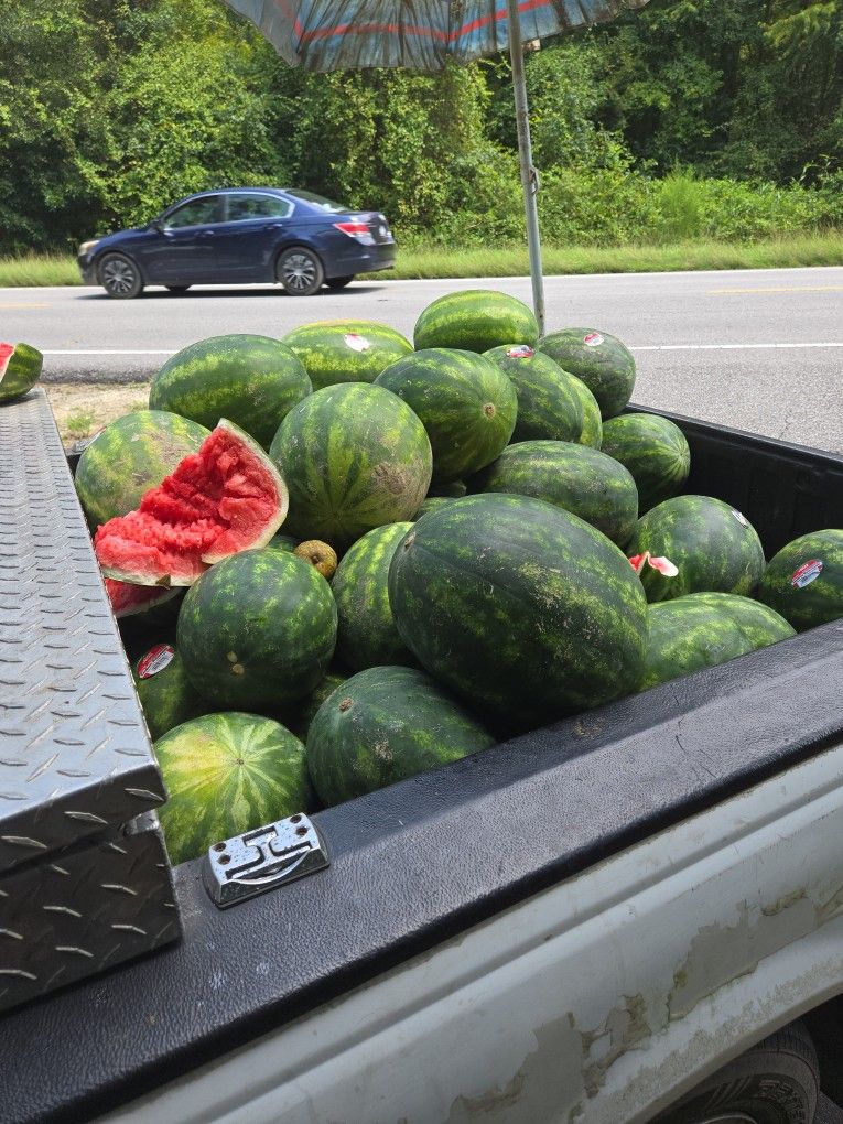 North Carolina Seedless Watermelons