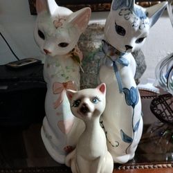 Familia Gatos 