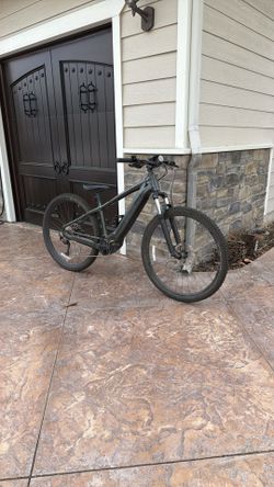 2025 Electric Specialized Mountain Bike