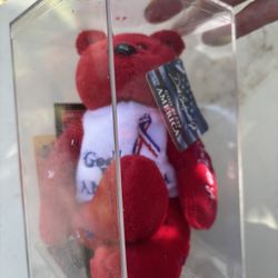 Dale Earnhardt Junior Beanie Baby