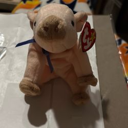 TY Knuckles The Pig. 1999 With Tag Errors