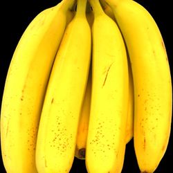 Premium+ Banana 