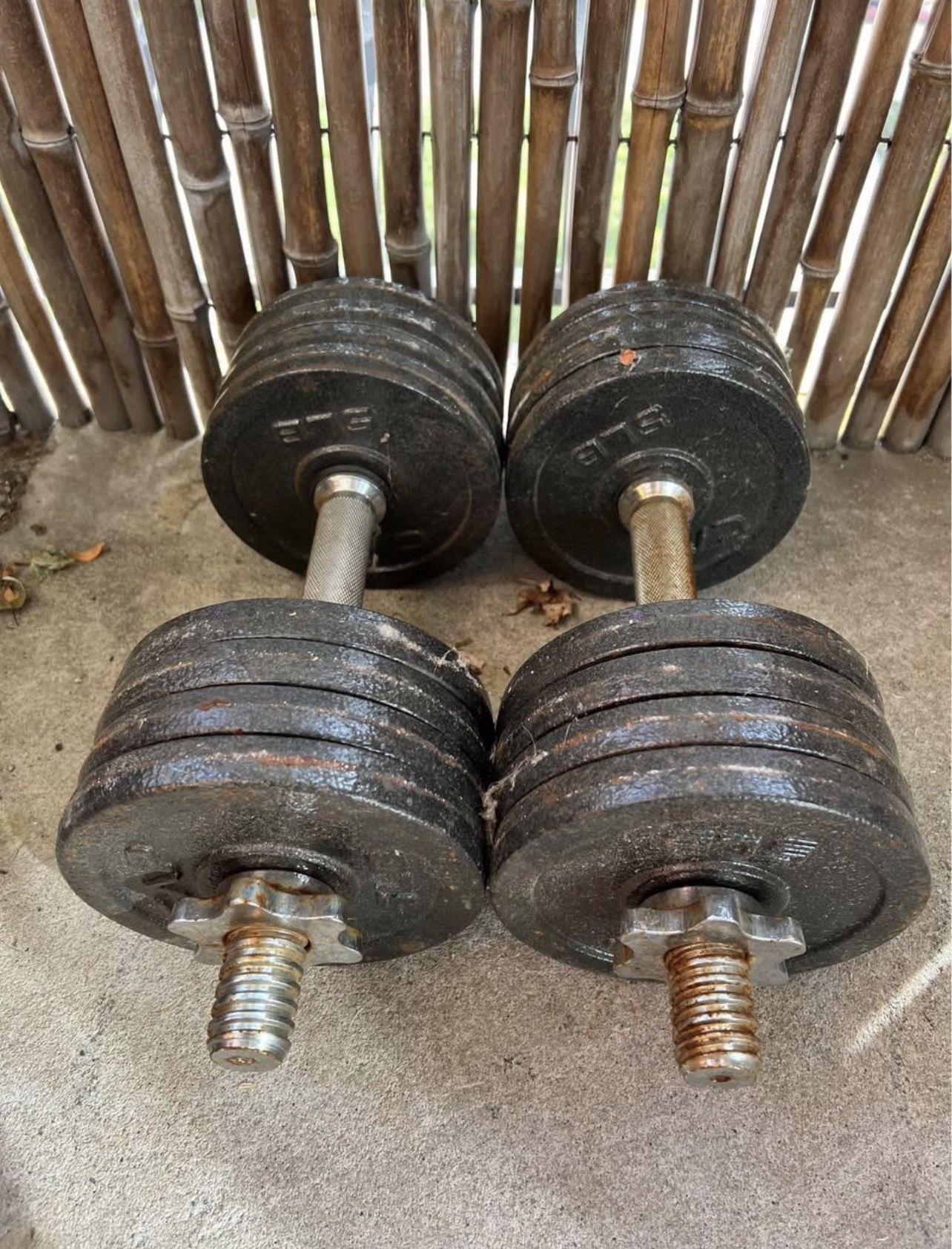 40lb Iron Dumbbells