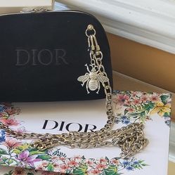 Dior Pouch 