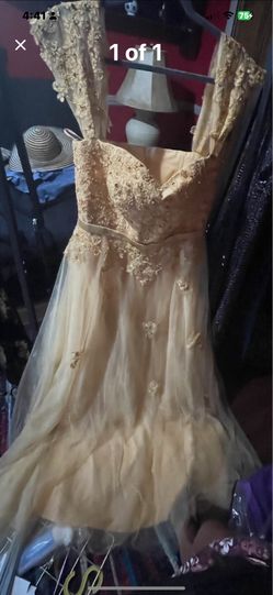 Formal Lace Dress
